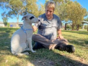 Display Image of a person taking care of a dog